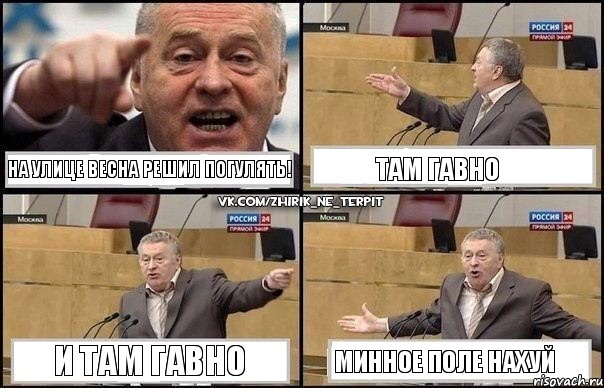 на улице весна решил погулять! там гавно и там гавно минное поле нахуй, Комикс Жириновский