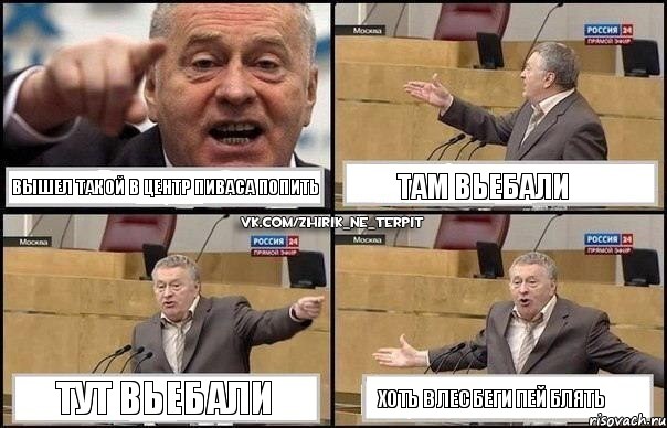 Вышел такой в центр пиваса попить там вьебали тут вьебали хоть в лес беги пей блять, Комикс Жириновский