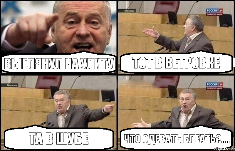 Выглянул на улиту тот в ветровке та в шубе что одевать блеать?...., Комикс Жириновский