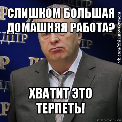 слишком большая домашняя работа? хватит это терпеть!, Мем Хватит это терпеть (Жириновский)