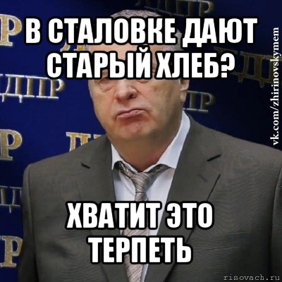 в сталовке дают старый хлеб? хватит это терпеть, Мем Хватит это терпеть (Жириновский)