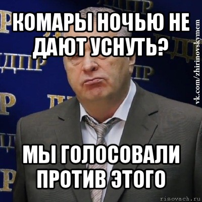 комары ночью не дают уснуть? мы голосовали против этого, Мем Хватит это терпеть (Жириновский)