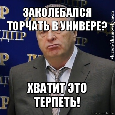 заколебался торчать в универе? хватит это терпеть!, Мем Хватит это терпеть (Жириновский)