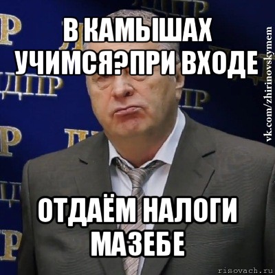 в камышах учимся?при входе отдаём налоги мазебе, Мем Хватит это терпеть (Жириновский)