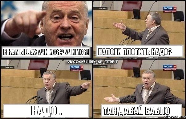 В КАМЫШАХ УЧИМСЯ? УЧИМСЯ! НАЛОГИ ПЛОТИТЬ НАДО? НАДО.. ТАК ДАВАЙ БАБЛО, Комикс Жириновский