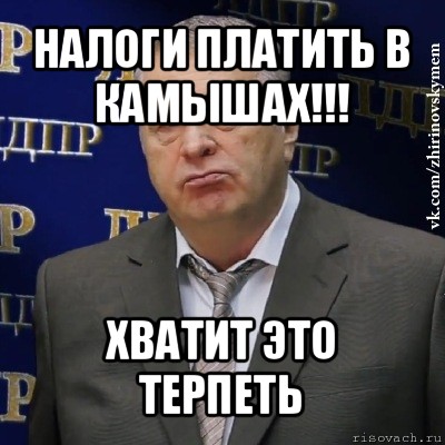 налоги платить в камышах!!! хватит это терпеть, Мем Хватит это терпеть (Жириновский)