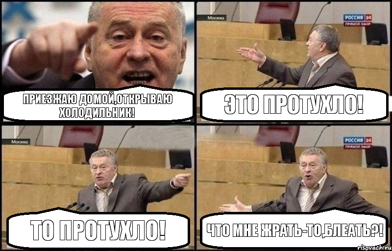 Приезжаю домой,открываю холодильник! Это протухло! То протухло! Что мне жрать-то,блеать?!, Комикс Жириновский