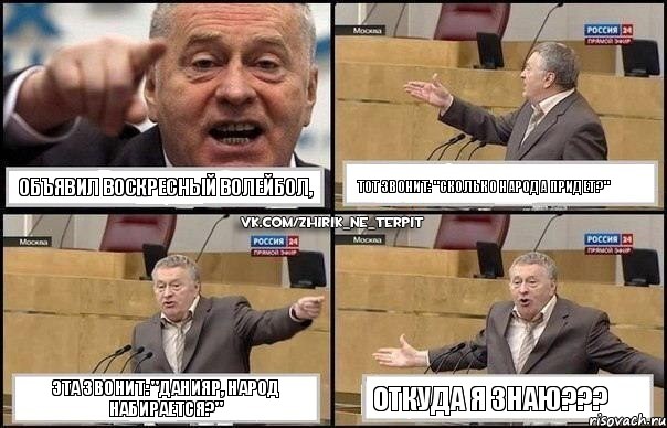 ОБЪЯВИЛ ВОСКРЕСНЫЙ ВОЛЕЙБОЛ, ТОТ ЗВОНИТ: "СКОЛЬКО НАРОДА ПРИДЕТ?" ЭТА ЗВОНИТ: "ДАНИЯР, НАРОД НАБИРАЕТСЯ?" ОТКУДА Я ЗНАЮ???, Комикс Жириновский