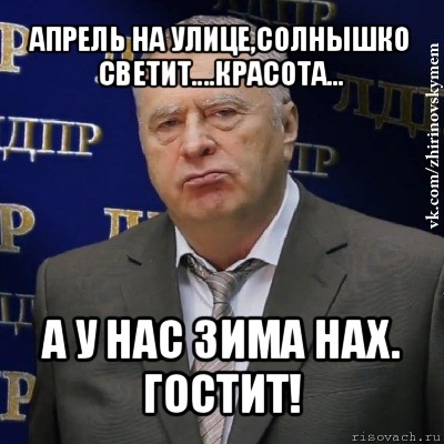 апрель на улице,солнышко светит....красота... а у нас зима нах. гостит!, Мем Хватит это терпеть (Жириновский)