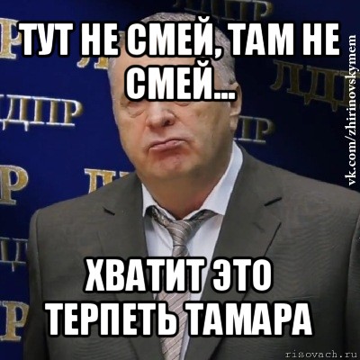 тут не смей, там не смей... хватит это терпеть тамара, Мем Хватит это терпеть (Жириновский)