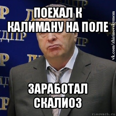 поехал к калиману на поле заработал скалиоз, Мем Хватит это терпеть (Жириновский)