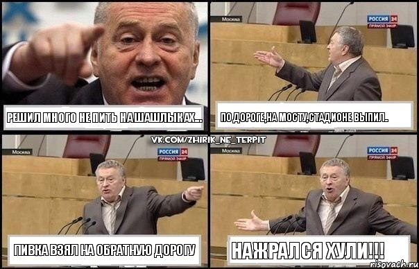 Решил много не пить на шашлыках... по дороге,на мосту,стадионе выпил.. пивка взял на обратную дорогу НАЖРАЛСЯ ХУЛИ!!!, Комикс Жириновский