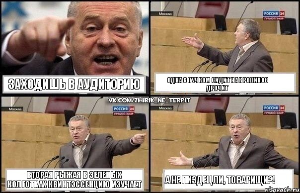 Заходишь в аудиторию Одна с пучком сидит на кроликов дрочит Вторая рыжая в зеленых колготках квинтэссенцию изучает А не пиздец ли, товарищи?!, Комикс Жириновский