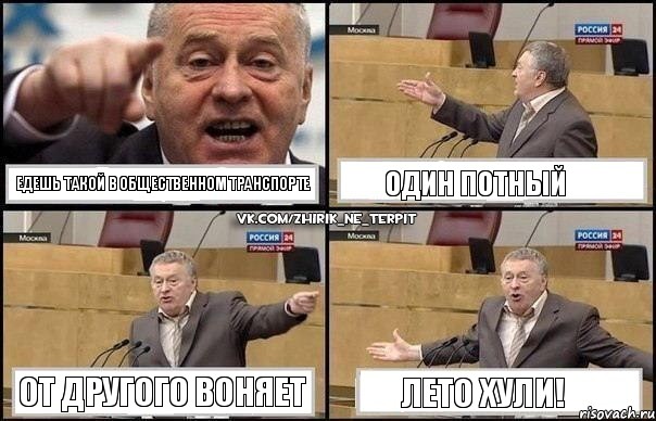 Едешь такой в общественном транспорте Один потный От другого воняет Лето хули!, Комикс Жириновский