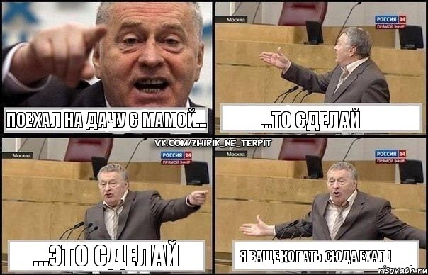 Поехал на дачу с мамой... ...то сделай ...это сделай Я ваще копать сюда ехал !, Комикс Жириновский