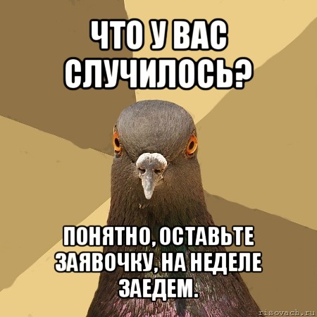 что у вас случилось? понятно, оставьте заявочку, на неделе заедем., Мем голубь