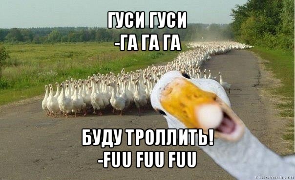 гуси гуси
-га га га буду троллить!
-fuu fuu fuu, Мем гуси