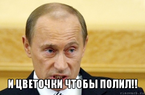  и цветочки чтобы полил!!, Мем путин