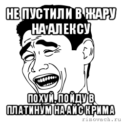 не пустили в жару на алексу похуй, пойду в платинум на айс крима, Мем Яо минг