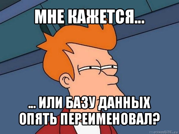 мне кажется... ... или базу данных опять переименовал?, Мем  Фрай (мне кажется или)