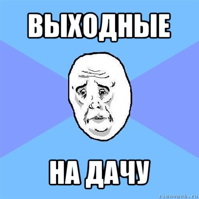 выходные на дачу, Мем Okay face