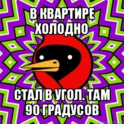 в квартире холодно стал в угол. там 90 градусов, Мем Омская птица