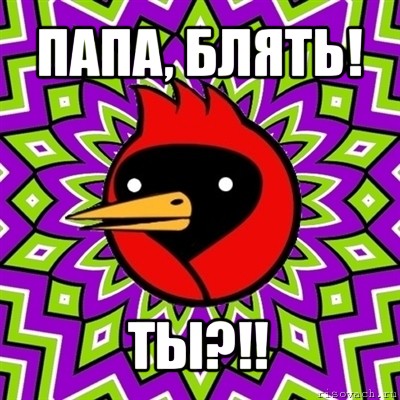 папа, блять! ты?!!, Мем Омская птица