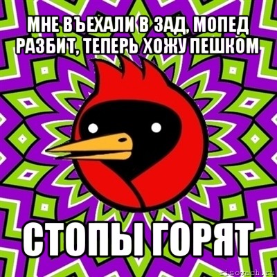 мне въехали в зад, мопед разбит, теперь хожу пешком стопы горят, Мем Омская птица