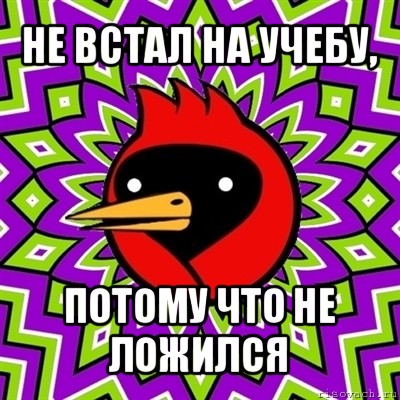 не встал на учебу, потому что не ложился, Мем Омская птица