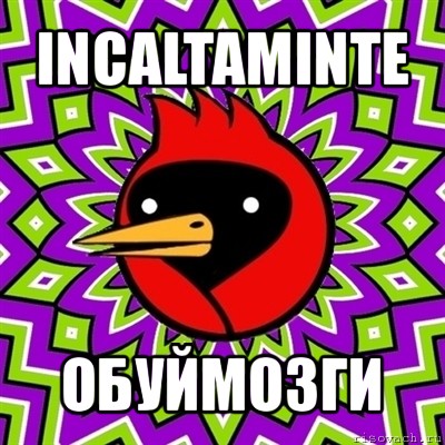 incaltaminte обуймозги, Мем Омская птица