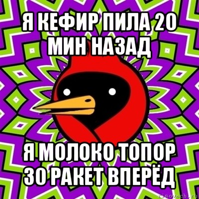 я кефир пила 20 мин назад я молоко топор 30 ракет вперёд, Мем Омская птица