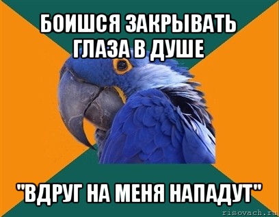 боишся закрывать глаза в душе "вдруг на меня нападут", Мем Попугай параноик