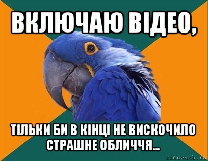 включаю відео, тільки би в кінці не вискочило страшне обличчя..., Мем Попугай параноик