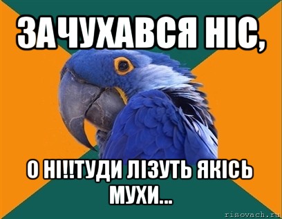 зачухався ніс, о ні!!туди лізуть якісь мухи..., Мем Попугай параноик