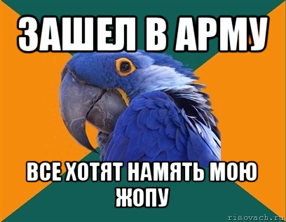 зашел в арму все хотят намять мою жопу, Мем Попугай параноик