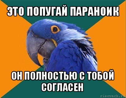 это попугай параноик он полностью с тобой согласен, Мем Попугай параноик