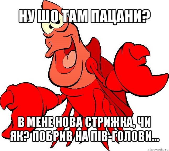 ну шо там пацани? в мене нова стрижка, чи як? побрив на пів-голови..., Мем Себастиаг