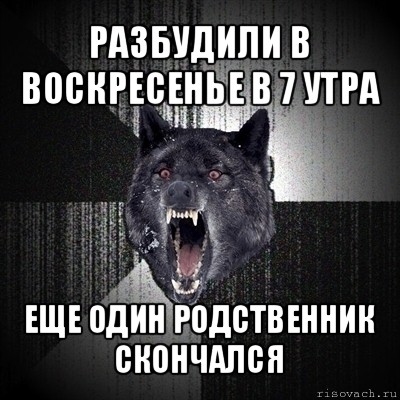 разбудили в воскресенье в 7 утра еще один родственник скончался, Мем Сумасшедший волк