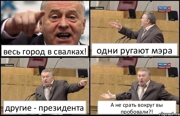 весь город в свалках! одни ругают мэра другие - президента А не срать вокруг вы пробовали?!, Комикс Жириновский