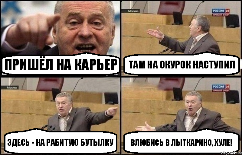 Пришёл на карьер Там на окурок наступил Здесь - на рабитую бутылку Влюбись в Лыткарино, хуле!, Комикс Жириновский