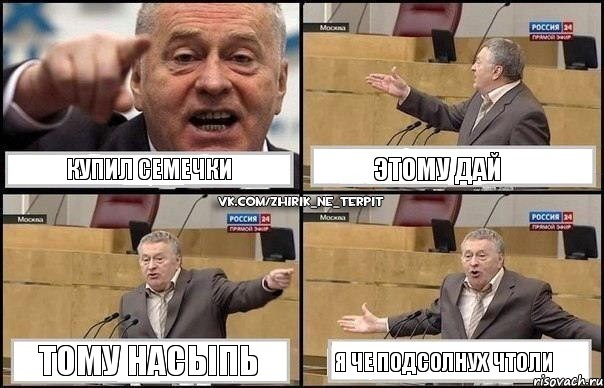 КУПИЛ СЕМЕЧКИ ЭТОМУ ДАЙ ТОМУ НАСЫПЬ Я ЧЕ ПОДСОЛНУХ ЧТОЛИ, Комикс Жириновский