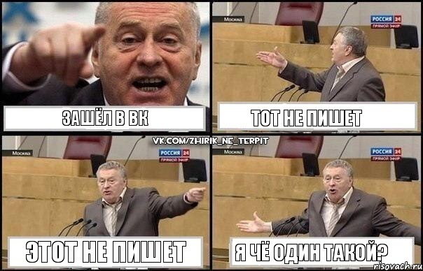 Зашёл в Вк Тот не пишет Этот не пишет Я чё один такой?, Комикс Жириновский