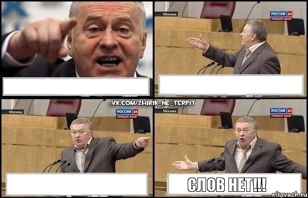    Слов нет!!!, Комикс Жириновский