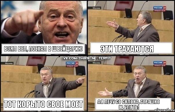 взял вел, поехал в швейцарию эти трахаются тот корыто свое моет а я лечу со склона, страшно ж, блять!, Комикс Жириновский