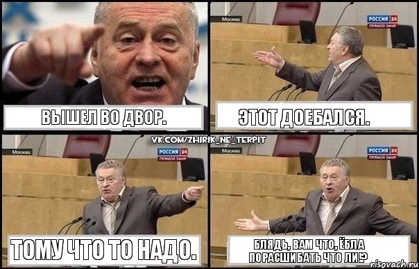 Вышел во двор. Этот доебался. Тому что то надо. Блядь, вам что, ёбла порасшибать что ли!?, Комикс Жириновский