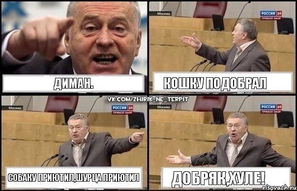 Диман. Кошку подобрал Собаку приютил,Шурца приютил Добряк,хуле!, Комикс Жириновский