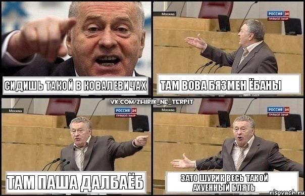 сидишь такой в Ковалевичах там Вова бязмен ёбаны там Паша далбаёб зато Шурик весь такой ахуенный блять, Комикс Жириновский