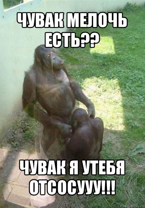 чувак мелочь есть?? чувак я утебя отсосууу!!!, Мем бибизян