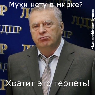 Мем Хватит это терпеть (Жириновский)