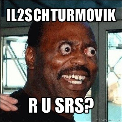 il2schturmovik r u srs?, Мем 333